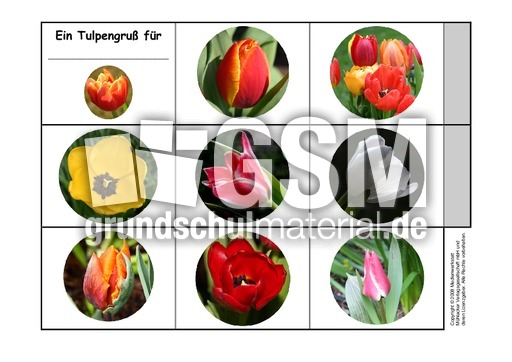 Leporello-Tulpengrüße-1.pdf